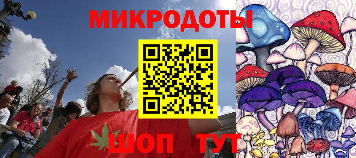 Псилоцибиновые грибы Psilocybe  Вход с VPN  Снежинск  где купить наркоту  Псилоцибиновые грибы Psilocybine cubensis 