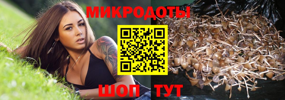 Галлюциногенные грибы GOLDEN TEACHER Снежинск